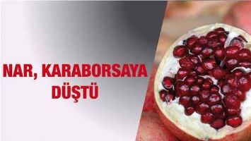 NAR, KARABORSAYA D&Uuml;ŞT&Uuml;