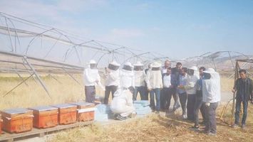58 KURSİYERE ARICILIK DERSİ