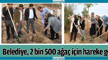 BELEDİYE, 2 BİN 500 AĞA&Ccedil; İ&Ccedil;İN HAREKE GE&Ccedil;Tİ