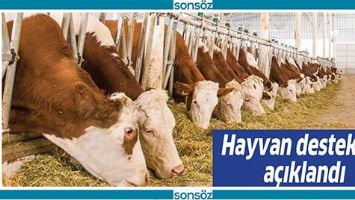 HAYVAN DESTEKLERİ A&Ccedil;IKLANDI