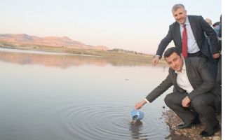 KEBAN&rsquo;IN SAZANLARI KIRKAT&rsquo;TA