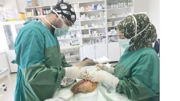 YARALI HAYVANLAR ALO 153&rsquo;E