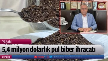 5,4 milyon dolarlık pul biber ihracatı