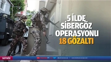 5 ilde Siberg&ouml;z operasyonu: 18 g&ouml;zaltı