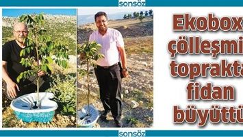 EKOBOX, &Ccedil;&Ouml;LLEŞMİŞ TOPRAKTA FİDAN B&Uuml;Y&Uuml;TT&Uuml;