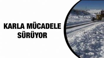 KARLA M&Uuml;CADELE S&Uuml;R&Uuml;YOR