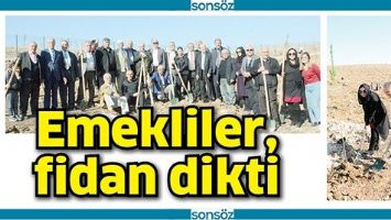 EMEKLİLER, FİDAN DİKTİ