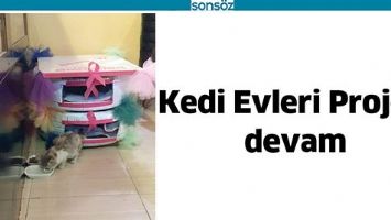 KEDİ EVLERİ PROJESİ DEVAM