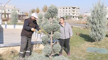 PARK BAH&Ccedil;E&rsquo;DE TEMPO ARTTI