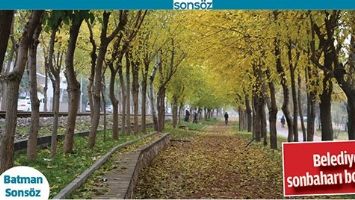 BELEDİYE, SONBAHARI BOZMADI