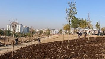 BELEDİYEDE YEŞİL SEFERBERLİK