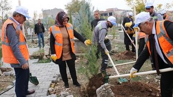 MEZARLIKLAR AĞA&Ccedil;LANIYOR