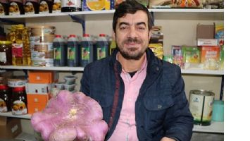 KARPUZ B&Uuml;Y&Uuml;KL&Uuml;Ğ&Uuml;NDE TURP