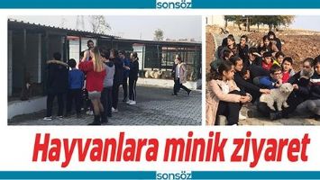 HAYVANLARA MİNİK ZİYARET