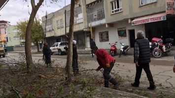 SAĞLIK&rsquo;TA AĞA&Ccedil;LAR BUDANDI