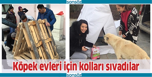 K&Ouml;PEK EVLERİ İ&Ccedil;İN KOLLARI SIVADILAR