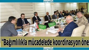 &ldquo;BAĞIMLILIKLA M&Uuml;CADELEDE KOORDİNASYON &Ouml;NEMLİ&rdquo;