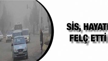 SİS, HAYATI FEL&Ccedil; ETTİ