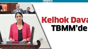 KELHOK DAVASI TBMM&rsquo;DE