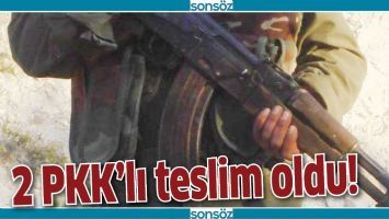 2 PKK’LI TESLİM OLDU!
