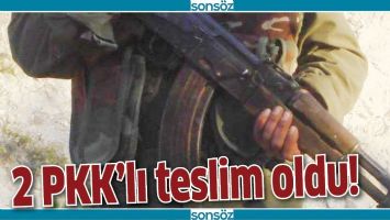 2 PKK&rsquo;LI TESLİM OLDU!
