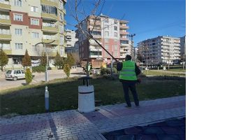 &ldquo;EKİLEN &Ccedil;İ&Ccedil;EKLERE ZARAR VERMEYİN&rdquo;