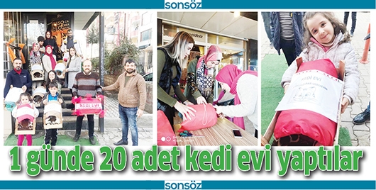 1 G&Uuml;NDE 20 ADET KEDİ EVİ YAPTILAR