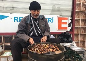 KESTANELER KAPIŞ KAPIŞ