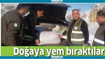 DOĞAYA YEM BIRAKTILAR