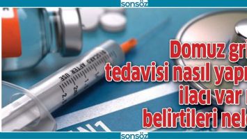 DOMUZ GRİBİ TEDAVİSİ NASIL YAPILIR, İLACI VAR MI, BELİRTİLERİ NELER?
