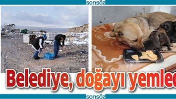 BELEDİYE, DOĞAYI YEMLEDİ