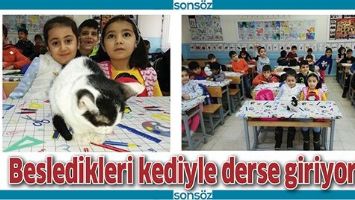 BESLEDİKLERİ KEDİYLE DERSE GİRİYORLAR