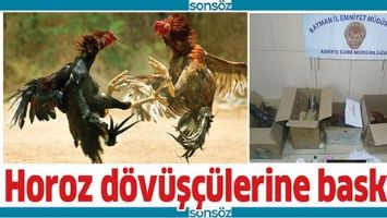 HOROZ D&Ouml;V&Uuml;Ş&Ccedil;&Uuml;LERİNE BASKIN!