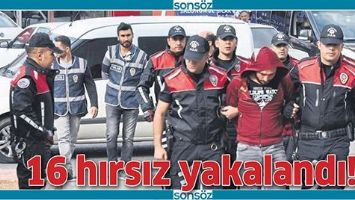 16 HIRSIZ YAKALANDI!