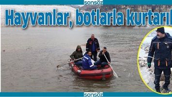 HAYVANLAR, BOTLARLA KURTARILDI
