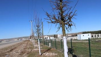 NEVRUZ ALANI RENKLENİYOR