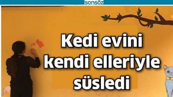 KEDİ EVİNİ KENDİ ELLERİYLE S&Uuml;SLEDİ