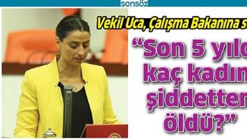 VEKİL UCA, &Ccedil;ALIŞMA BAKANINA SORDU