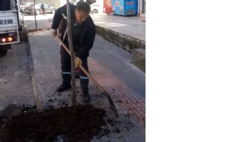 3 BİN AĞA&Ccedil;, DİKİLMEYİ BEKLİYOR