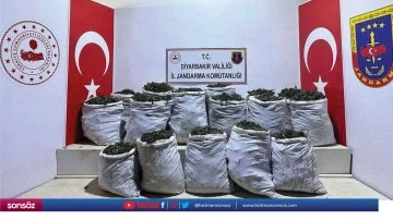 532 kilogram esrar ele ge&ccedil;irildi