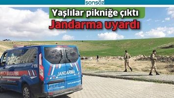 YAŞLILAR PİKNİĞE &Ccedil;IKTI