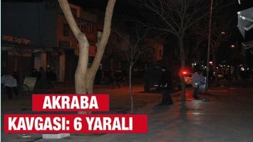 AKRABA KAVGASI: 6 YARALI