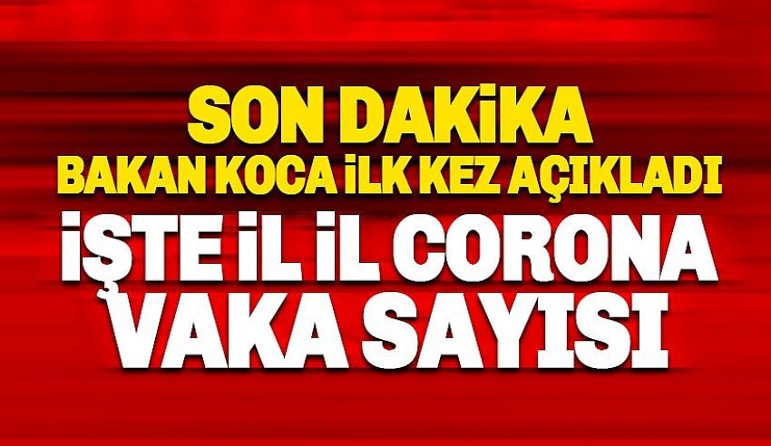 İL İL KORONAVİR&Uuml;S VAKA SAYISI