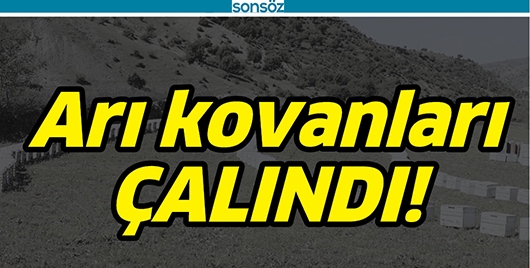 ARI KOVANLARI &Ccedil;ALINDI!