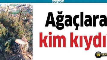 AĞA&Ccedil;LARA KİM KIYDI?