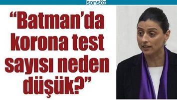 HDP&rsquo;Lİ VEKİL SORDU