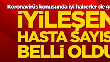 KORONAVİR&Uuml;STE İYİLEŞEN HASTA SAYISI BELLİ OLDU