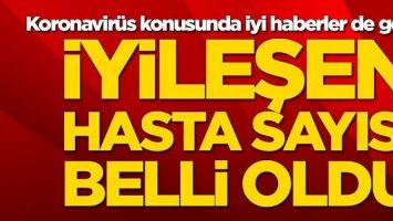 İyileşen hasta sayısı belli oldu