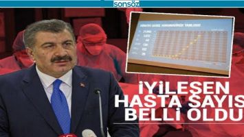 İYİLEŞEN HASTA SAYISI...