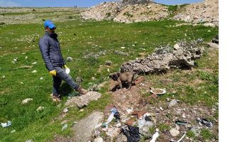 SOKAK HAYVANLARI UNUTULMADI
